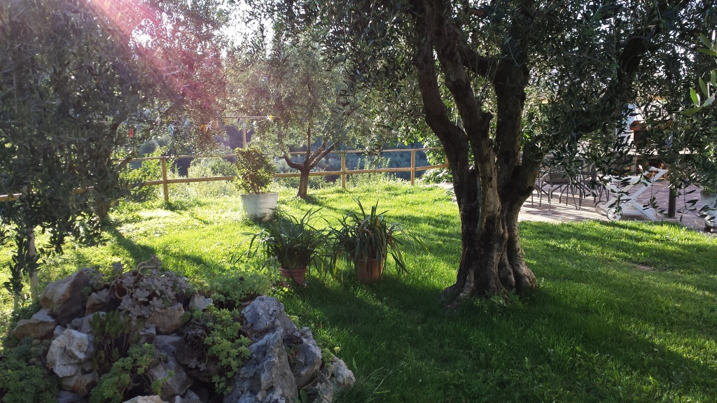 Garten mit Blick auf den Gardasee